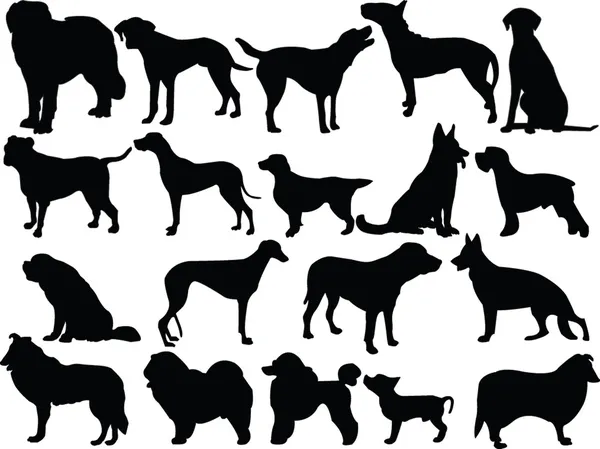 Honden collectie silhouet — Stockvector