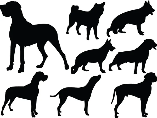 Kutya silhouette gyűjtemény 3 — Stock Vector