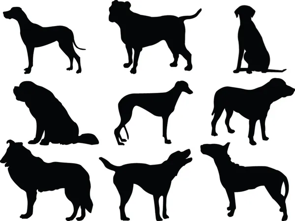 Silueta colección perros — Vector de stock