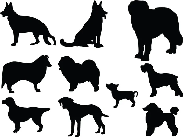 Hunde Silhouette Sammlung — Stockvektor