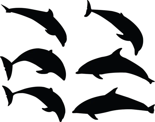 Дельфін силует колекції — стоковий вектор