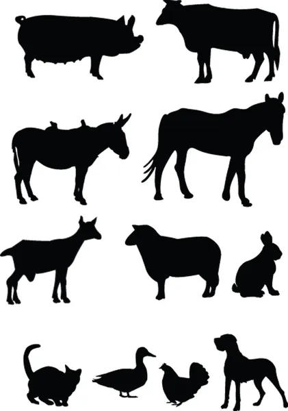 Domestics animal silhouette — Stock Vector