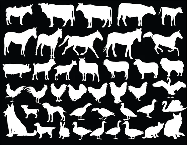 Сельскохозяйственная коллекция животных на фоне — стоковый вектор
