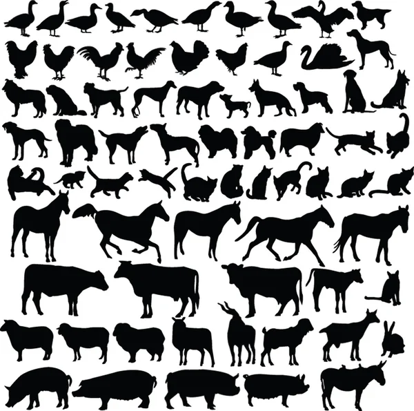 Коллекция силуэтов сельскохозяйственных животных — стоковый вектор