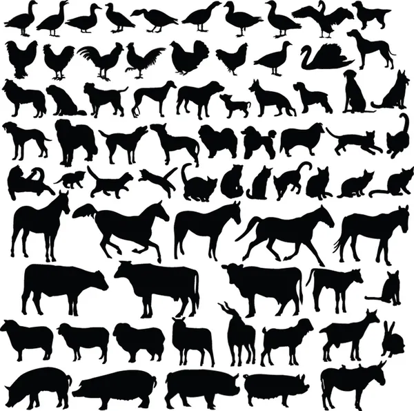 Collection silhouette animaux de ferme Illustrations De Stock Libres De Droits