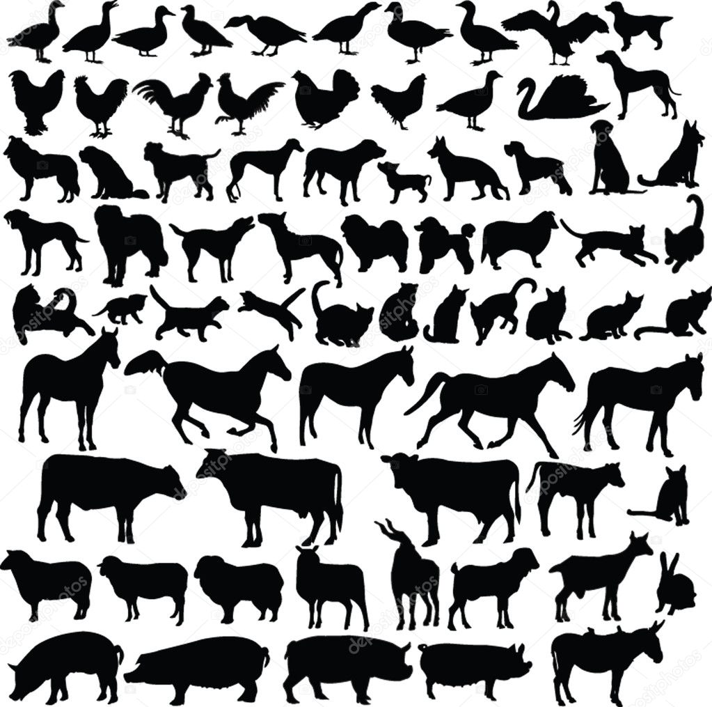 Farm animals silhouette collection