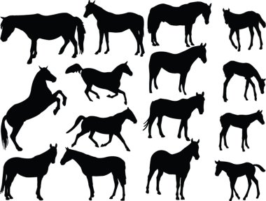 Horses collection 2 clipart