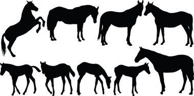 Horses collection clipart