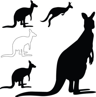 Kangaroo collection clipart