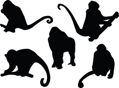 Monkey silhouette clipart