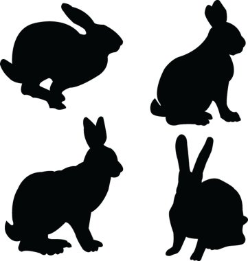 Rabbits collection clipart