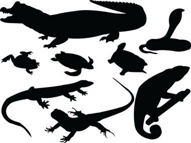 reptils silhouette koleksiyonu