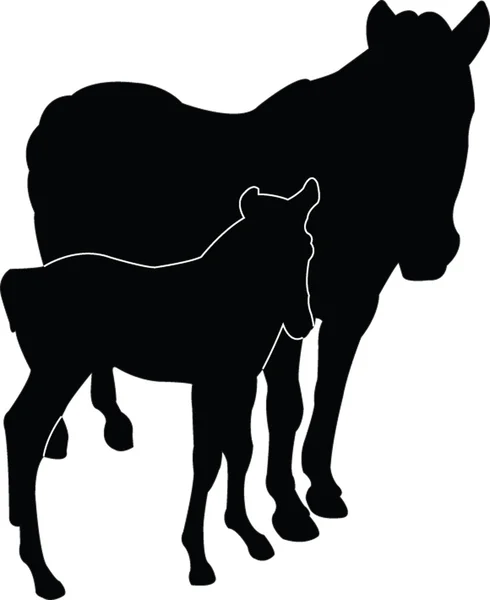 Pferd mit Baby-Silhouette — Stockvektor