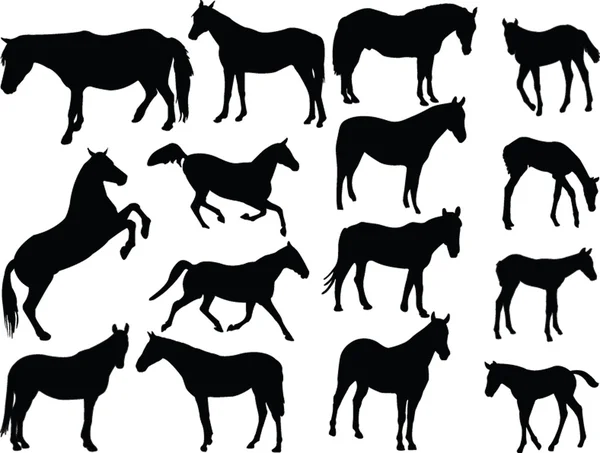 Collecte de chevaux 2 — Image vectorielle