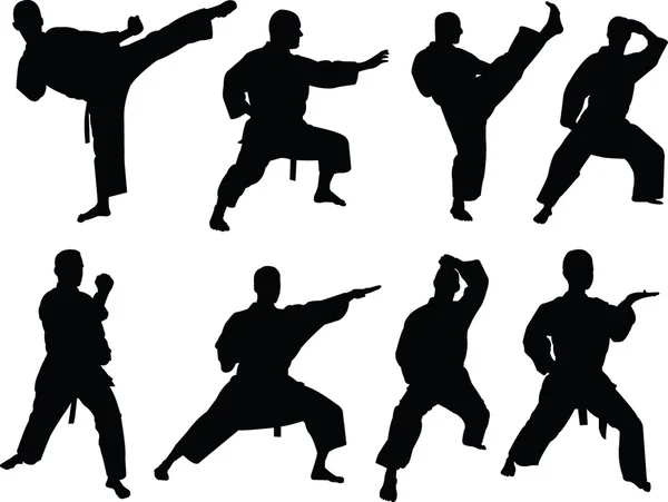 Karate Kollektion 2 — Stockvektor