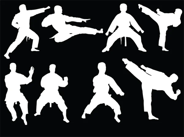 Karate Kollektion 3 — Stockvektor