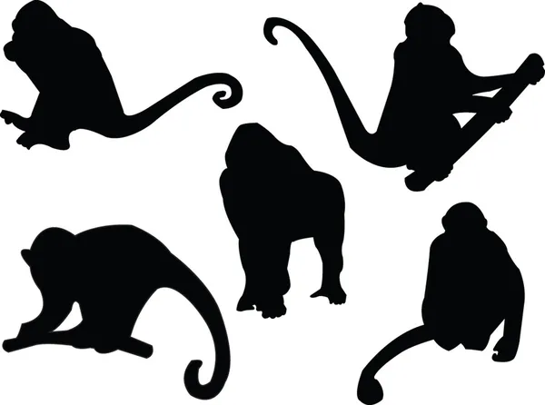 Maymun siluet — Stok Vektör