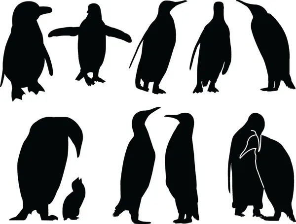 Coleção de silhuetas de pinguins — Vetor de Stock