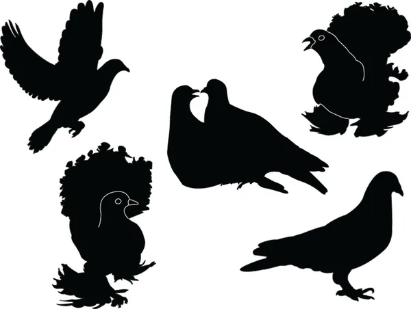 Kolekcja gołębi — Wektor stockowy