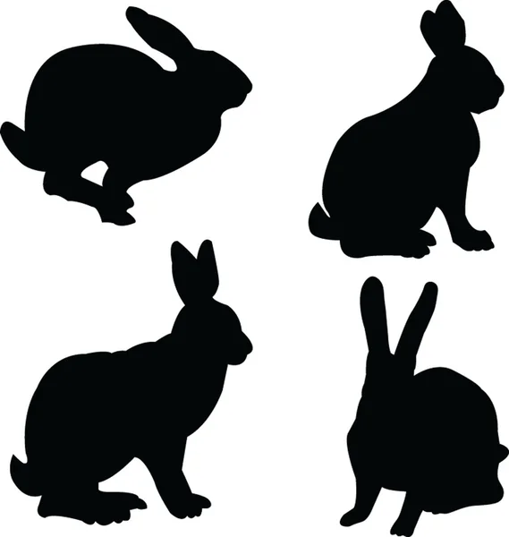 Tavşan koleksiyonu — Stok Vektör