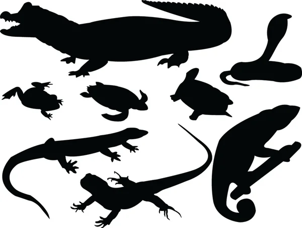 Colección de siluetas Reptiles — Archivo Imágenes Vectoriales