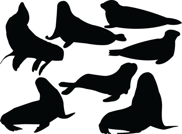 Zeehonden collectie silhouet — Stockvector