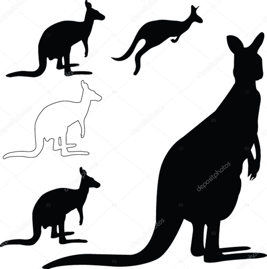 Kangaroo collection