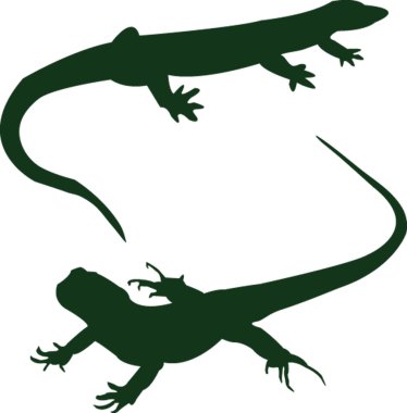 Two lizard clipart