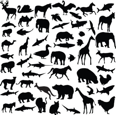 Big collection of different animals clipart