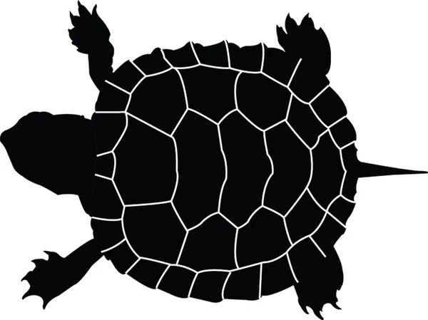 Schildkrötensilhouette — Stockvektor