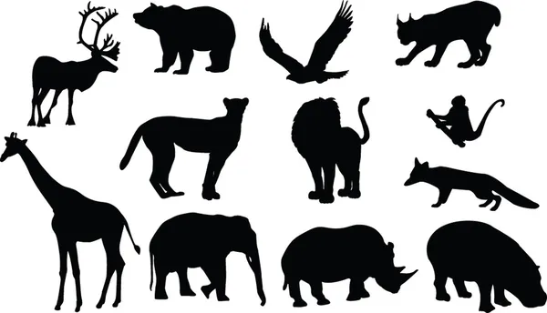 Colección de animales salvajes — Vector de stock