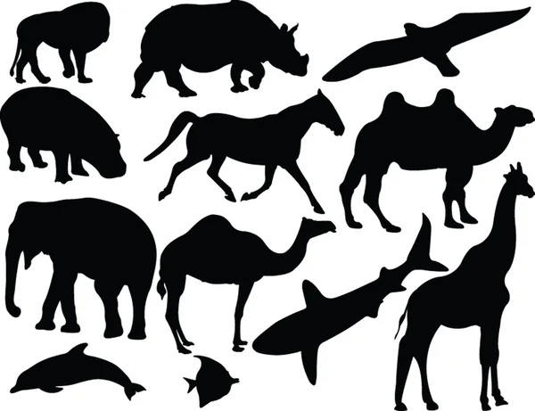 Коллекция животных — стоковый вектор