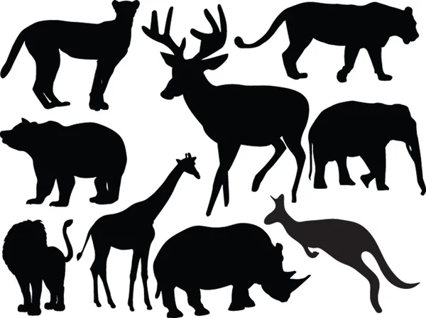 Divoká zvířata kolekce — Stockový vektor