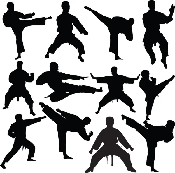 Collezione di combattenti di karate — Vettoriale Stock