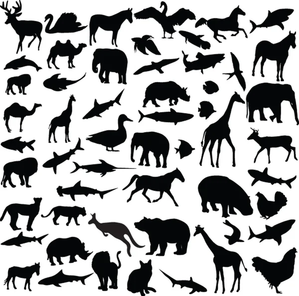 Große Sammlung unterschiedlicher Tiere — Stockvektor