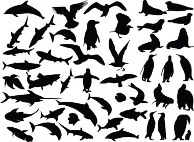 Sea animal collection clipart