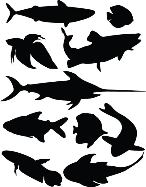 Fisk samling — Stock vektor