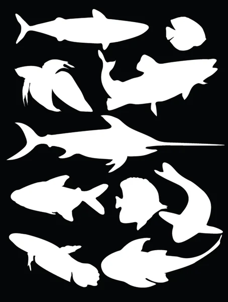 Коллекция рыбы 2 — стоковый вектор