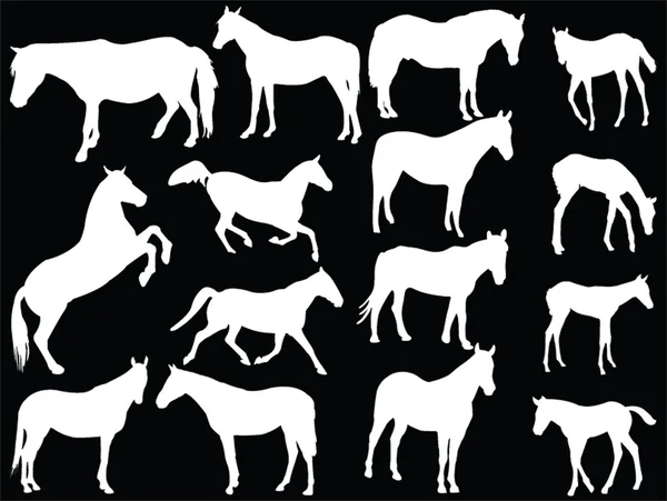 Colección de caballos 3 — Archivo Imágenes Vectoriales