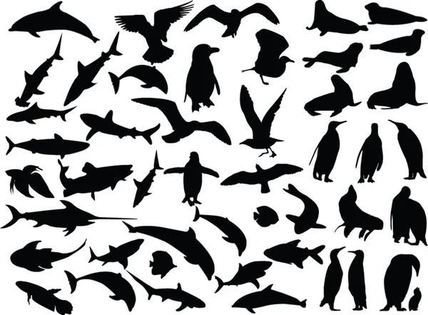 Коллекция морских животных — стоковый вектор