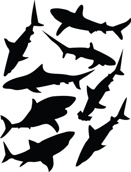Collezione di squali — Vettoriale Stock