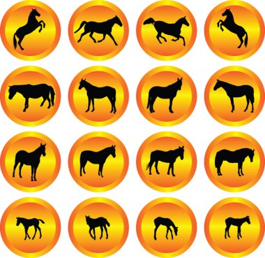 Horses collection in buttons clipart