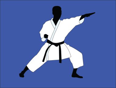 Karate oyuncu