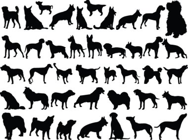 Big collection of dogs clipart