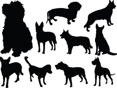 Dog collection 2 clipart