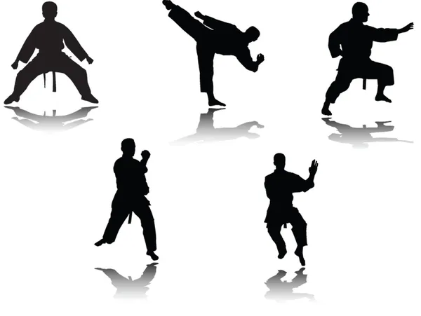 Giocatore di karate con ombra — Vettoriale Stock