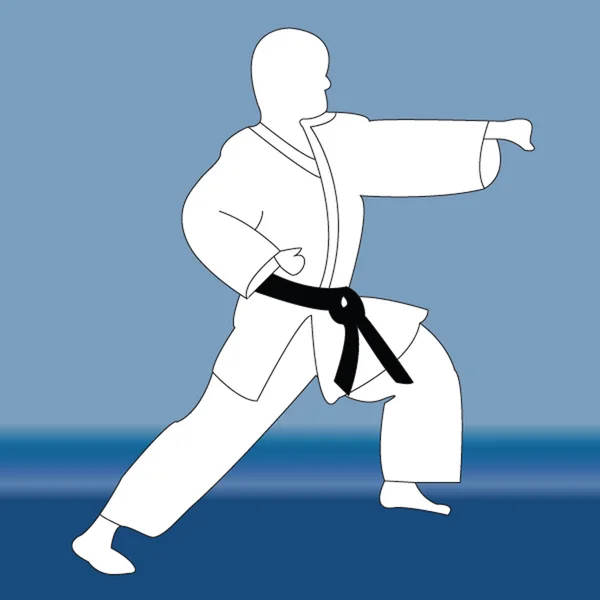 Silhouette eines Karate-Spielers — Stockvektor