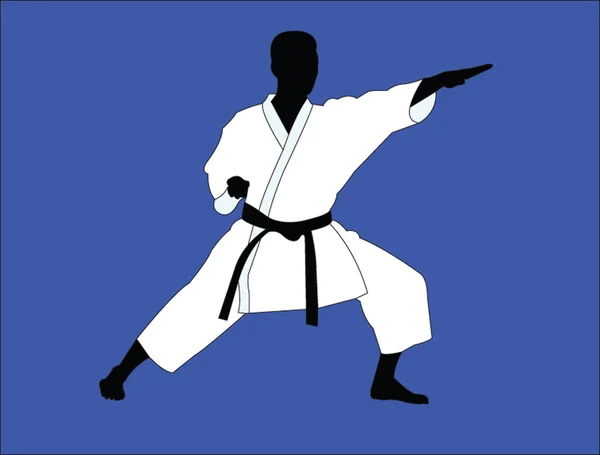 Karate player — Stock Vector