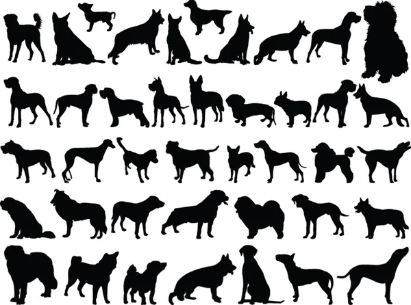 Große Sammlung von Hunden — Stockvektor