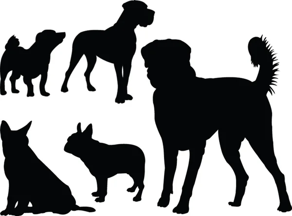 Hundesammlung — Stockvektor